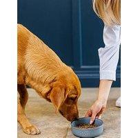 Mason Cash Set Of 2 Reactive Paw Bowls 18Cm
