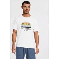 Jack & Jones Palm Circle Graphic T-Shirt - White