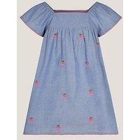 Accessorize Girls Strawberry Chambray Dress - Blue