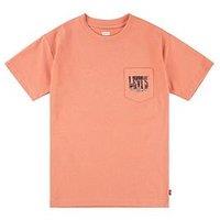 Levi'S Boys Canyon Landscape Short Sleeve T-Shirt - Orange