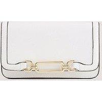 Fiorelli Emilia Hardware Clutch