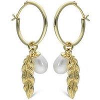The Love Collection Gold Plated Sterling Silver Leaf Hoop Earrings