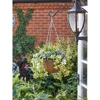 Smart Garden Lilac Bloom Hanging Basket