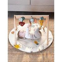 Tiny Love Garden Of Adventures Luxe Developmental Gymini
