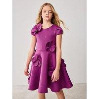 Ted Baker Dress - Purple