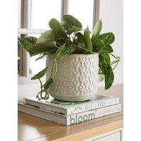 Very Home Ceramic Planter