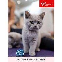 Virgin Experience Days London Kitty Yoga Session With Play Time For 2 - Digital Voucher