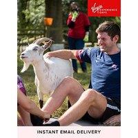 Virgin Experience Days Goat Yoga For Two In The Suffolk Countryside