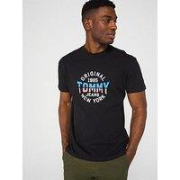 Tommy Jeans Regular Fit Usa Circle Graph T-Shirt - Black