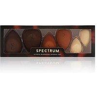 Spectrum Pantherine 6 Piece Sponge Set