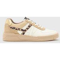 Allsaints Vix Multi Sneakers - Brown