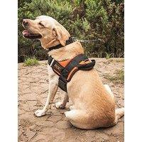 Rac Car Harness - Small