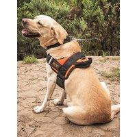 Rac Dog Harness - Medium