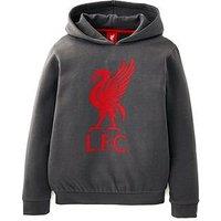 Liverpool Fc Junior Liverbird Hoodie - Dark Grey