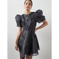 The Very Collection Organza Corsage Mini Dress - Black