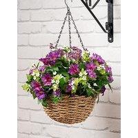 Scottish Everlastings 58Cm Petunia & Star Flower Hanging Basket