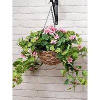 Scottish Everlastings 80Cm Pink Geranium Hanging Basket