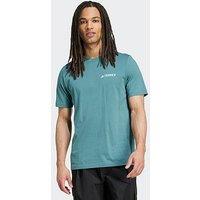Adidas Terrex Mens Outdoor Graphic T-Shirt - Preloved Teal