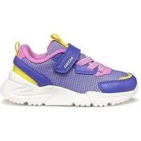 Geox Kids Older Skechers Loftus Trainer