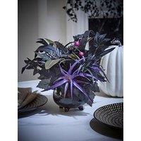 Very Home Cauldron Table Centre Halloween Decoration