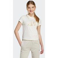 Adidas Sportswear Junior Girls Graphic Big Logo T-Shirt-Grey