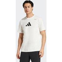 Adidas Mens Training Graphic T-Shirt - White