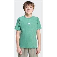 Adidas Boys Junior Training T-Shirt - Green