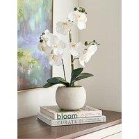 The Very Collection Faux Phalaenopsis Orchid In Round Cream Cement Pot