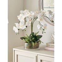 The Very Collection Real Touch 5-Stem Faux Orchid With Fern In Glass Pot