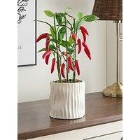 The Very Collection Faux Chilli Plant In Ceramic Pot