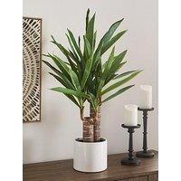 The Very Collection Faux Double Stem Yucca Plant In Plastic Pot
