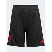 Adidas Junior Liverpool Training Short - Black