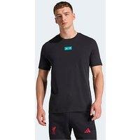 Adidas Mens Liverpool Seasonal Tee- Black