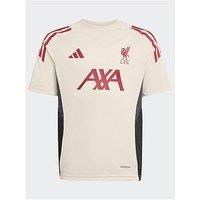 Adidas Junior Liverpool Training Jersey- White
