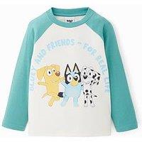 Bluey Raglan T-Shirts - Green