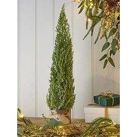 Festive 55 Cm Frosted Green Christmas Fern In Wooden Pot