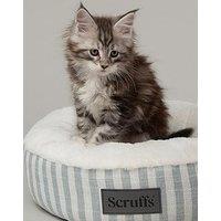 Scruffs Coastal Cat/Small Dog Bed