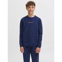 Jack & Jones Junior Boys Embroidered Sweatshirt - Blue