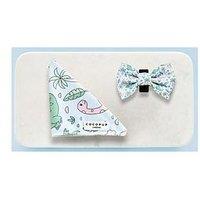 Cocopup 2 Pack - Dinopaws Bandana And Bow Tie
