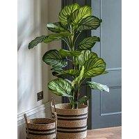 Gallery Direct Potted Calathea Leaf Tree 4Ft