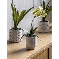 Gallery Direct Orchid Cream In Ribbed White Ceramic Pot 320Mm