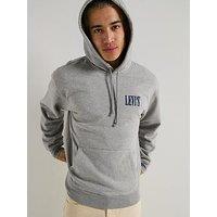 Levi'S Relaxed Back Graphic Fleece Logo Hoodie - Grey