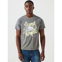 Levi'S Levis Lightening Eagle Graphic Relaxed Fit T-Shirt - Grey