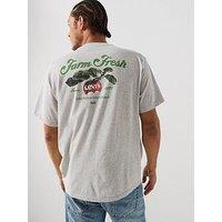 Levi'S Vintage Fit Graphic Print Short Sleeve T-Shirt - Grey