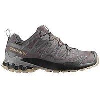 Salomon Women'S Trail Running Xa Pro 3D V9 Gore-Tex Trainers - Grey