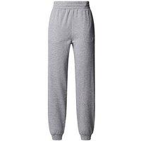 The North Face Women'S Mountain Athletics Fleece Pant-Grey