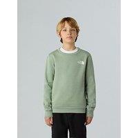 The North Face Teen Simple Dome Crew - Green