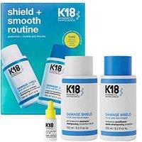 K18 Biomimetic Hairscience Shield & Smooth Routine Kit
