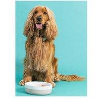 Mason Cash Set Of 2 Heart Paw Bowls - 18Cm