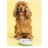 Mason Cash Set Of 2 Colour Dip Bone 18Cm Bowls